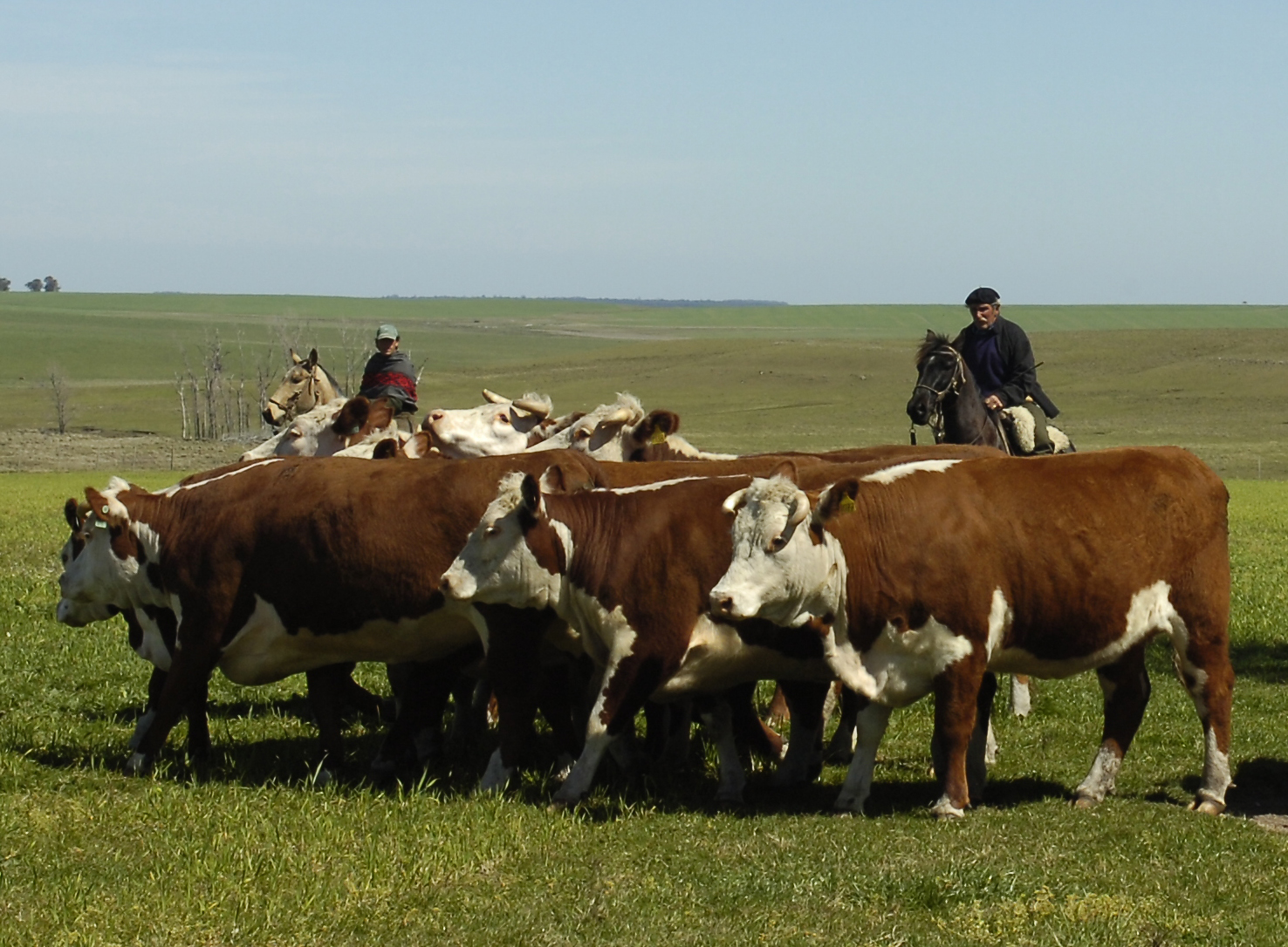 El eterno femenino de una imaginativa pintora
