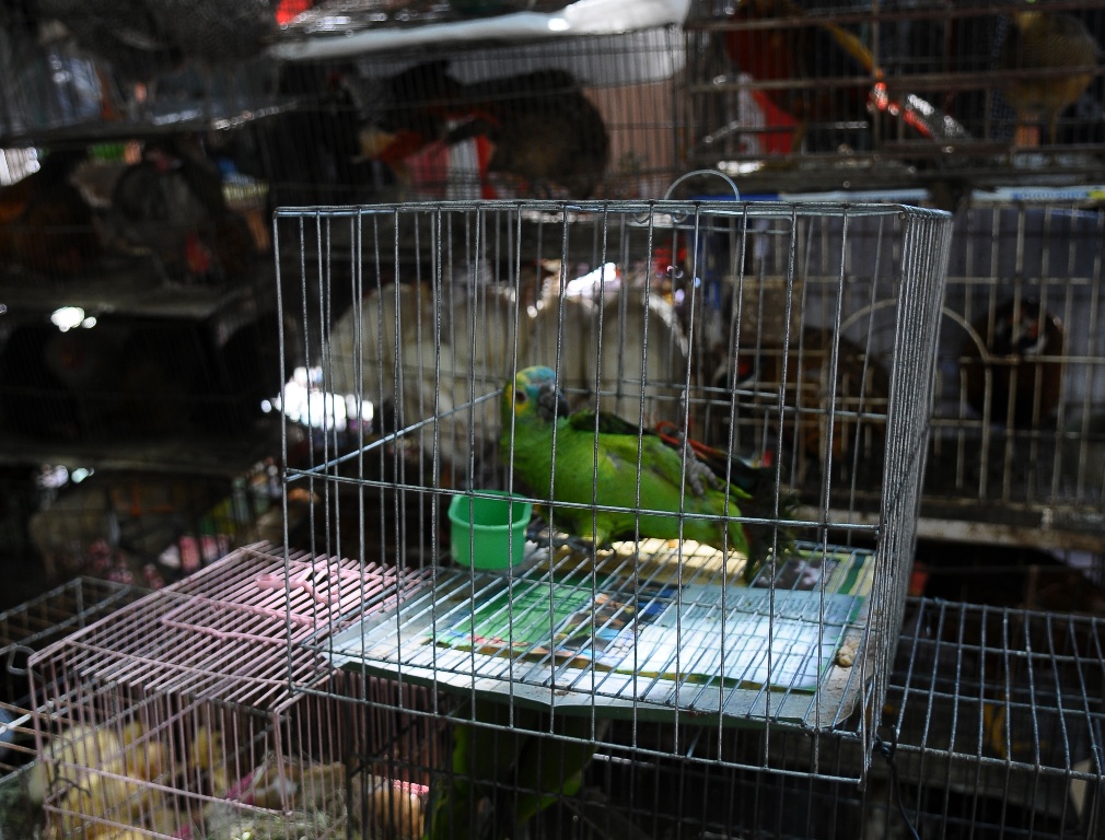 El eterno femenino de una imaginativa pintora