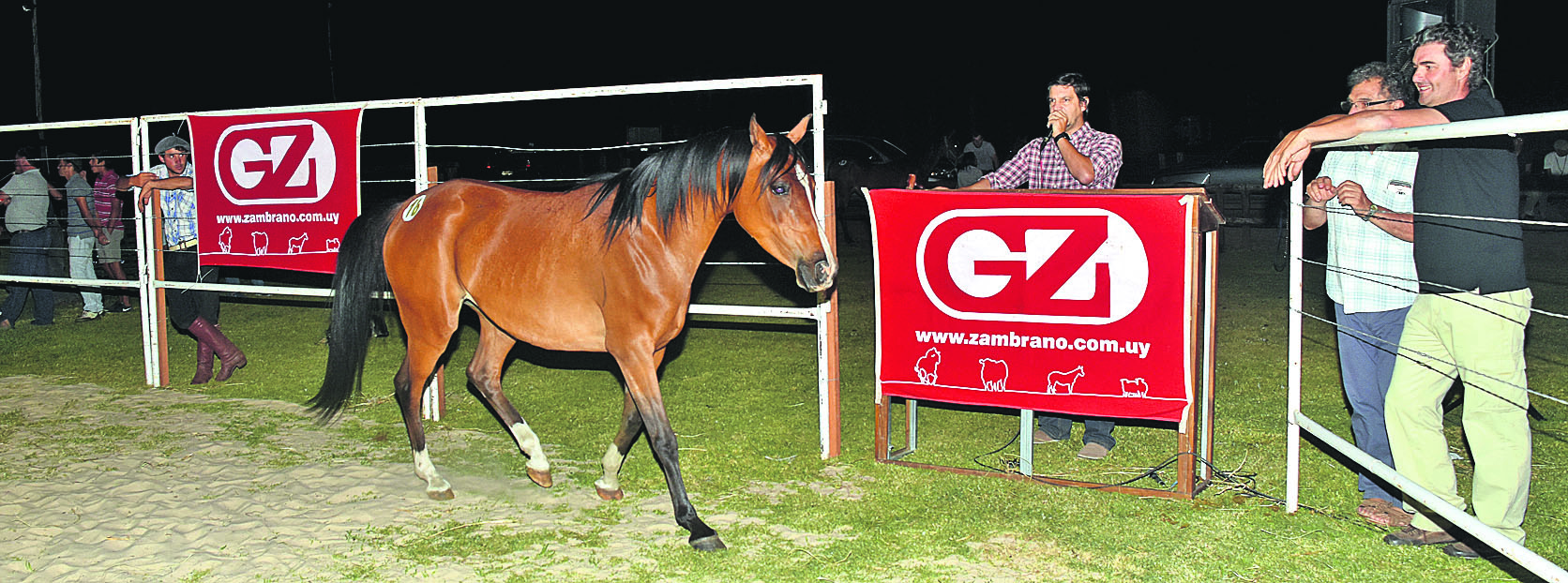 El eterno femenino de una imaginativa pintora