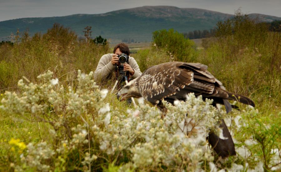 El eterno femenino de una imaginativa pintora