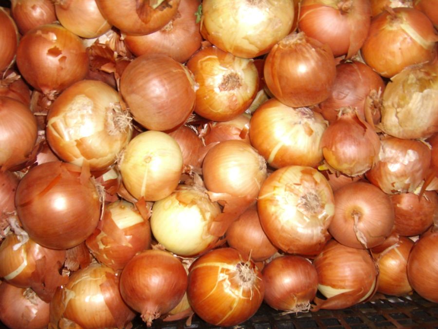 El eterno femenino de una imaginativa pintora