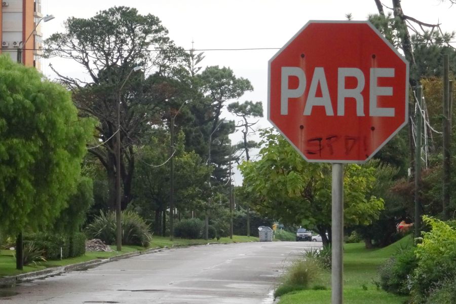 El eterno femenino de una imaginativa pintora