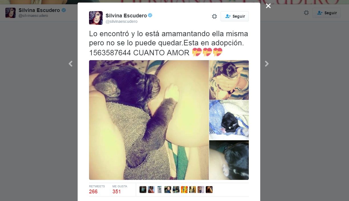 El eterno femenino de una imaginativa pintora