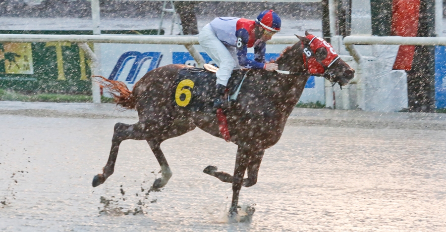 El eterno femenino de una imaginativa pintora