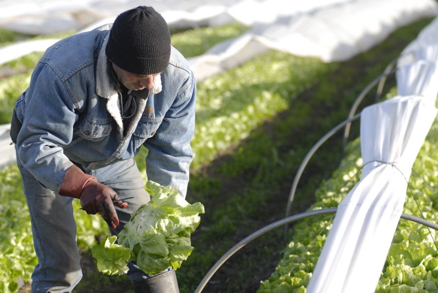 El eterno femenino de una imaginativa pintora