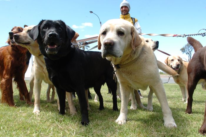 El eterno femenino de una imaginativa pintora