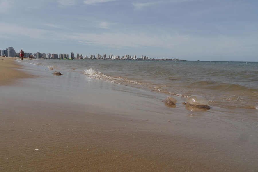 El eterno femenino de una imaginativa pintora