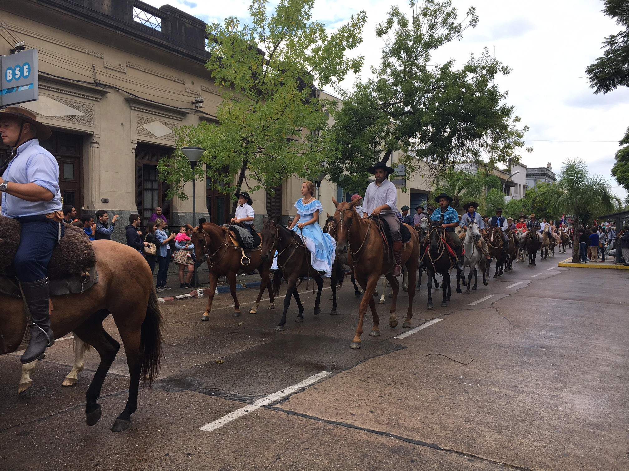 Desfile de la Patria Gaucha. Foto: Ricardo Figueredo