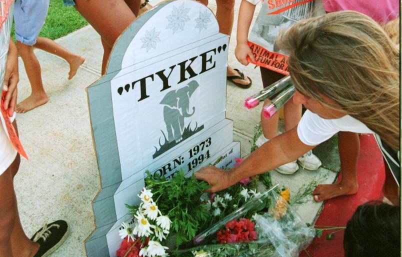 La muerte de Tyke hizo que se replantearan varios temas.