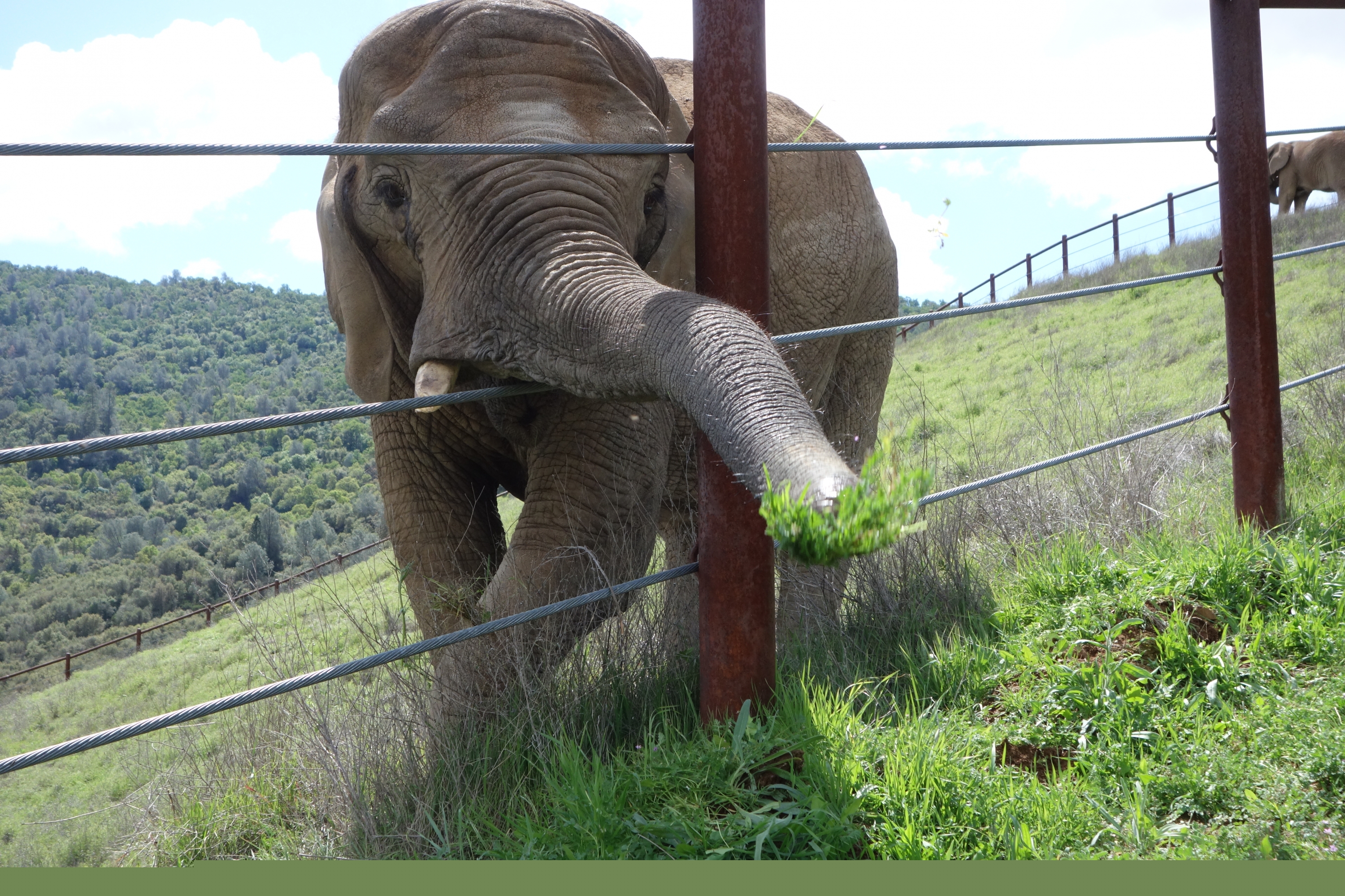 El eterno femenino de una imaginativa pintora