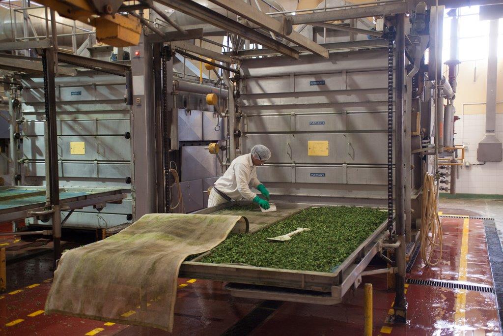 Knorr presentó su modelo de producción sustentable - EL PAÍS Uruguay