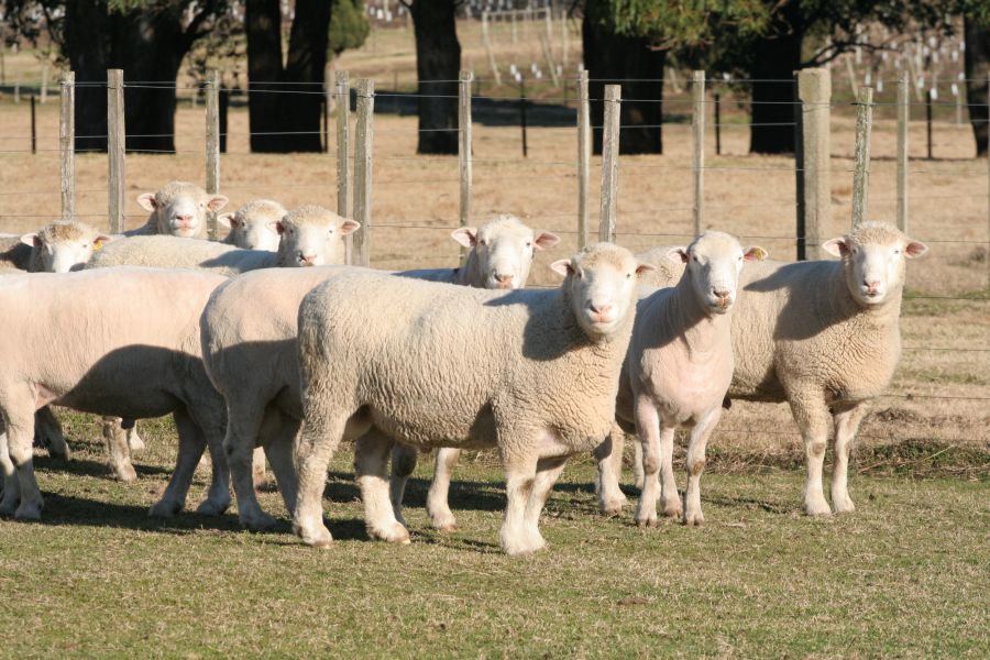 El eterno femenino de una imaginativa pintora