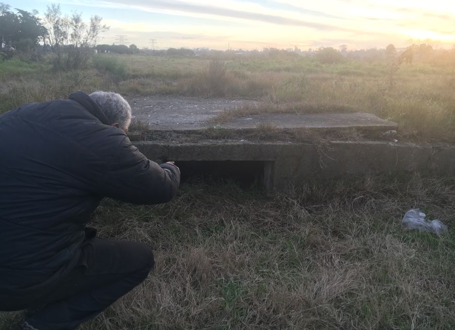 El eterno femenino de una imaginativa pintora