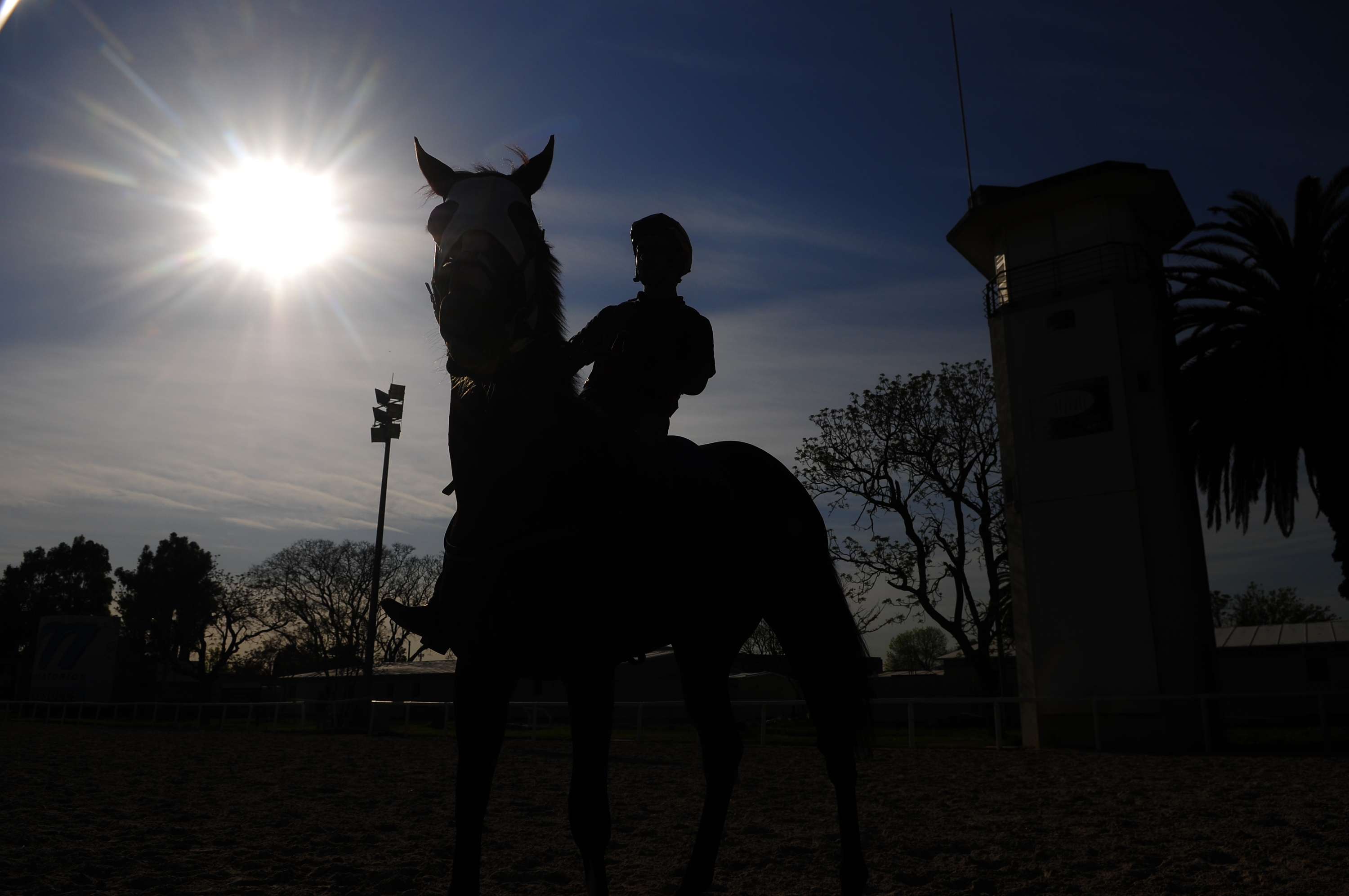 Hipódromo de Maroñas. Foto: Fernando Ponzetto.