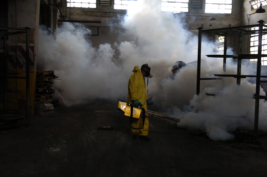 El eterno femenino de una imaginativa pintora