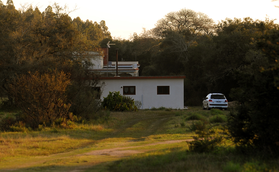 El eterno femenino de una imaginativa pintora