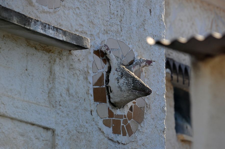 Foto: Fernando Ponzetto