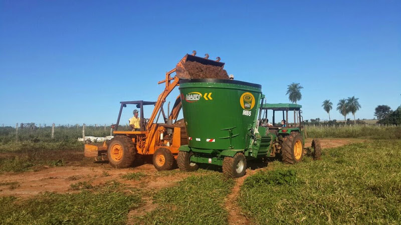 El eterno femenino de una imaginativa pintora