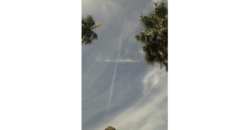 El eterno femenino de una imaginativa pintora