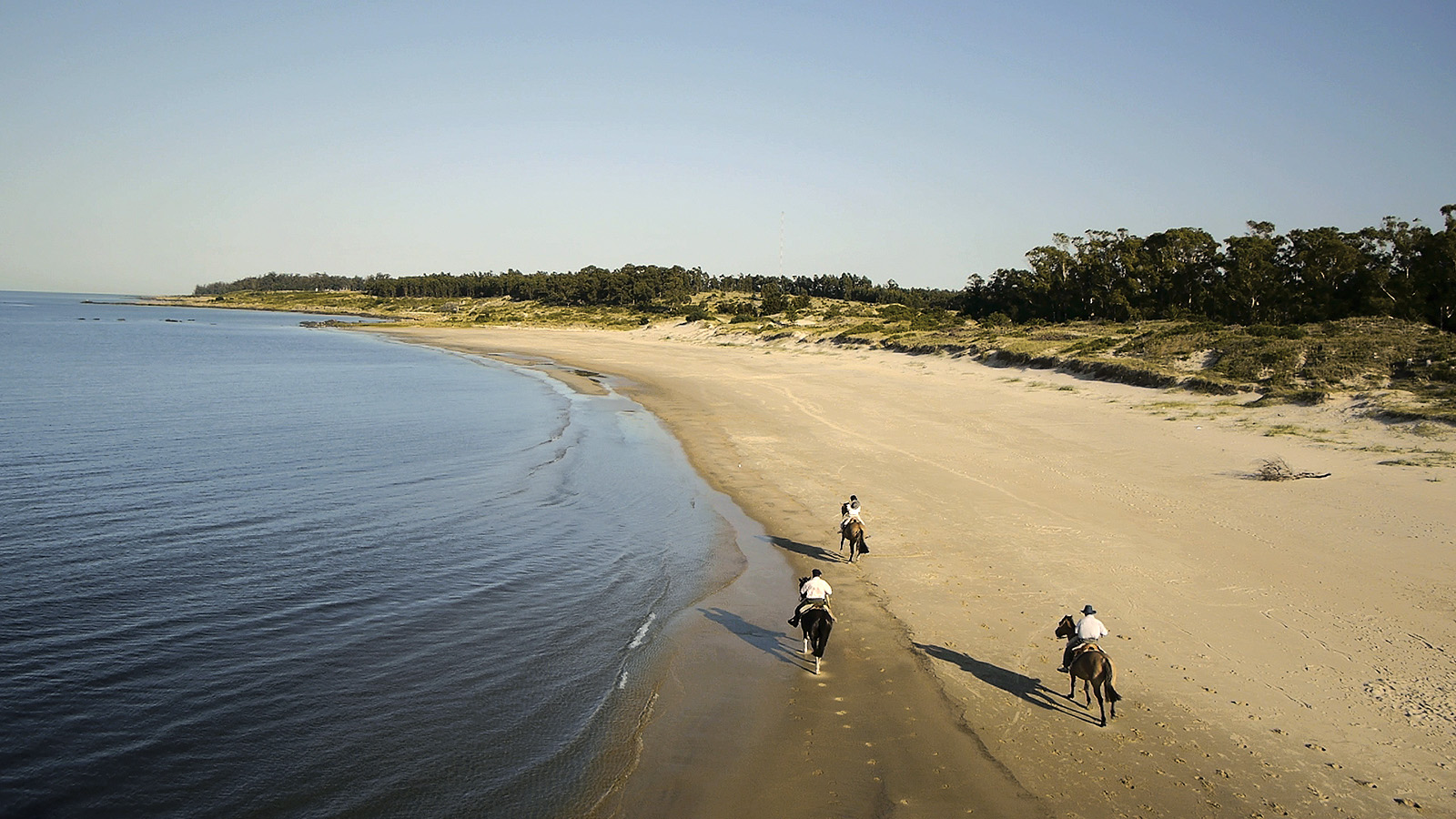El eterno femenino de una imaginativa pintora