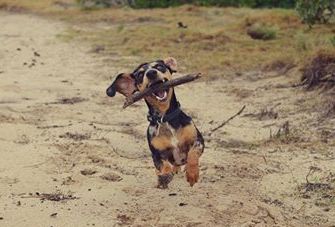 El eterno femenino de una imaginativa pintora