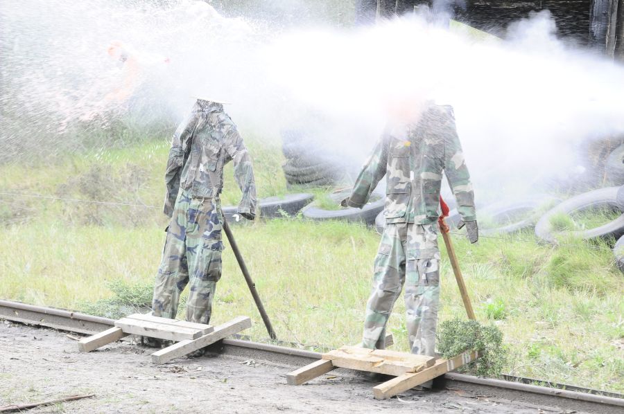 Foto: Darwin Borrelli