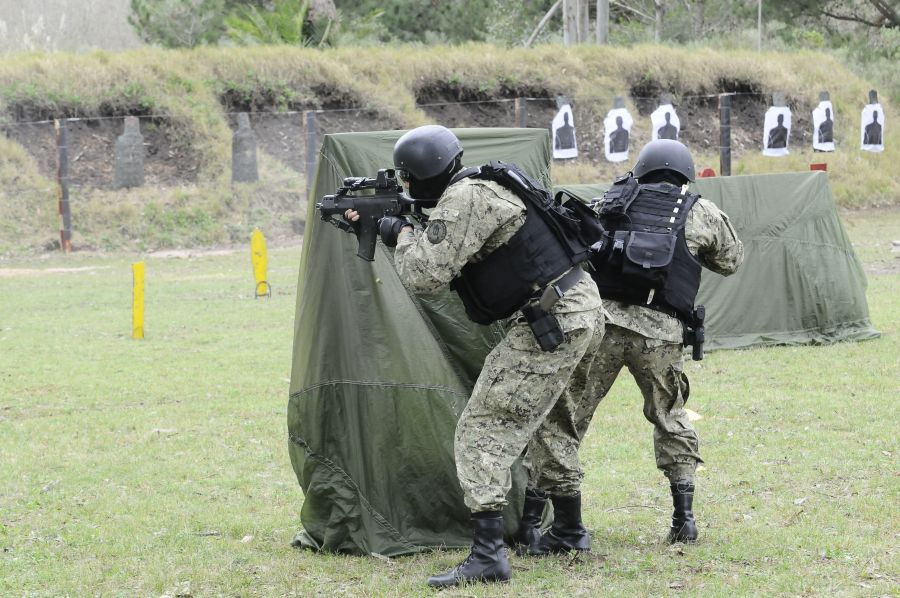 Foto: Darwin Borrelli