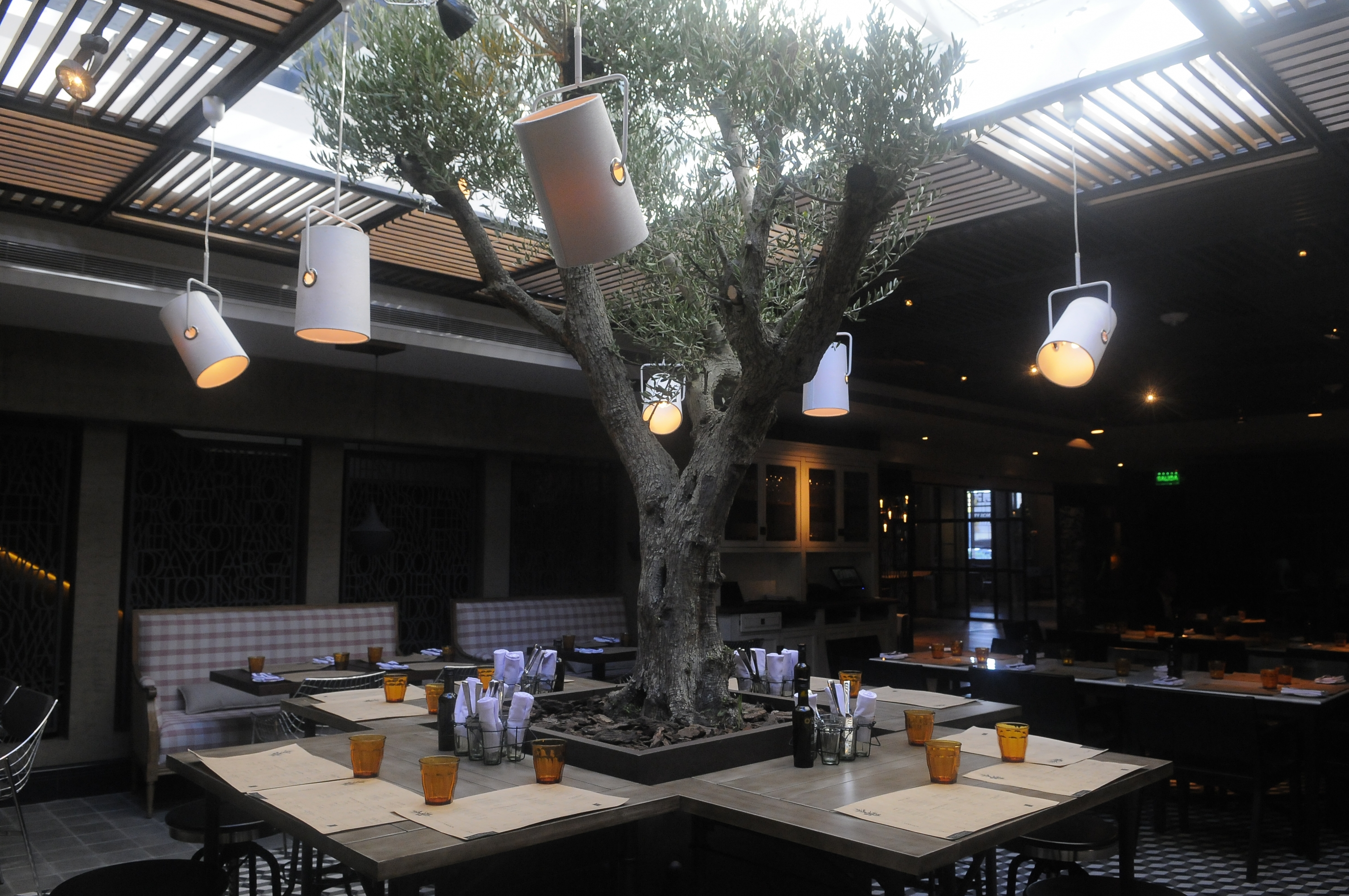 El árbol plantado en medio del restaurante genera una atmósfera única.