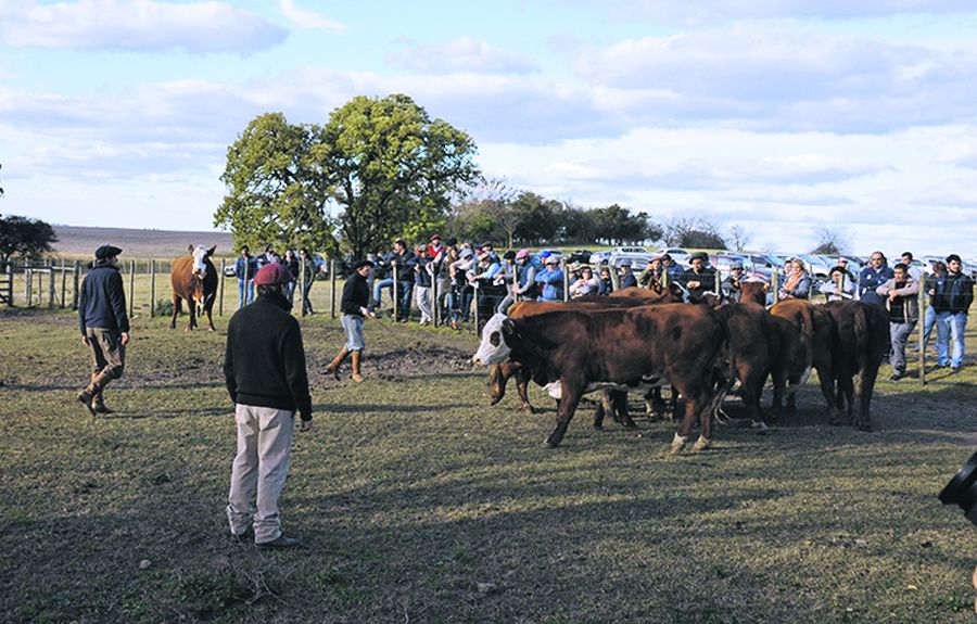 El eterno femenino de una imaginativa pintora