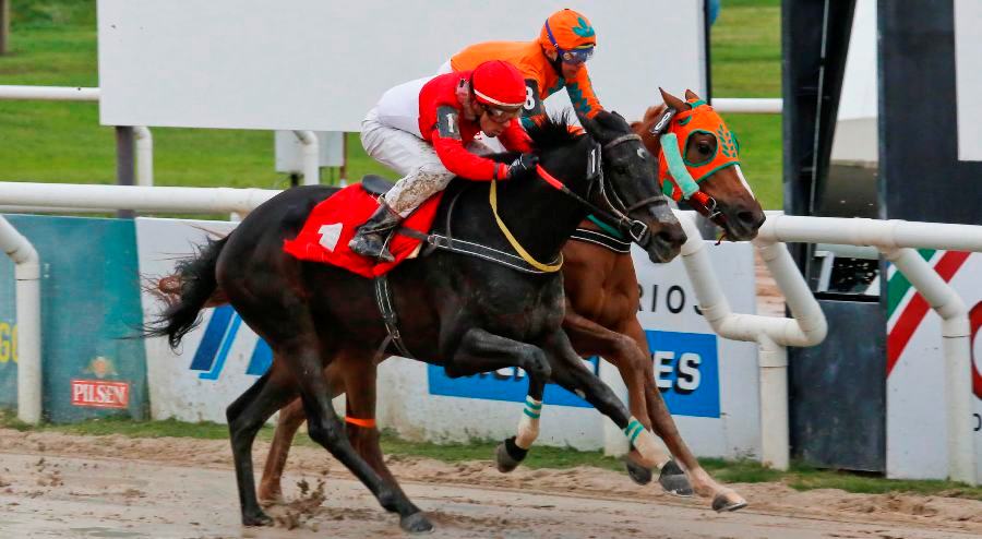 El eterno femenino de una imaginativa pintora