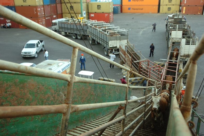 El eterno femenino de una imaginativa pintora