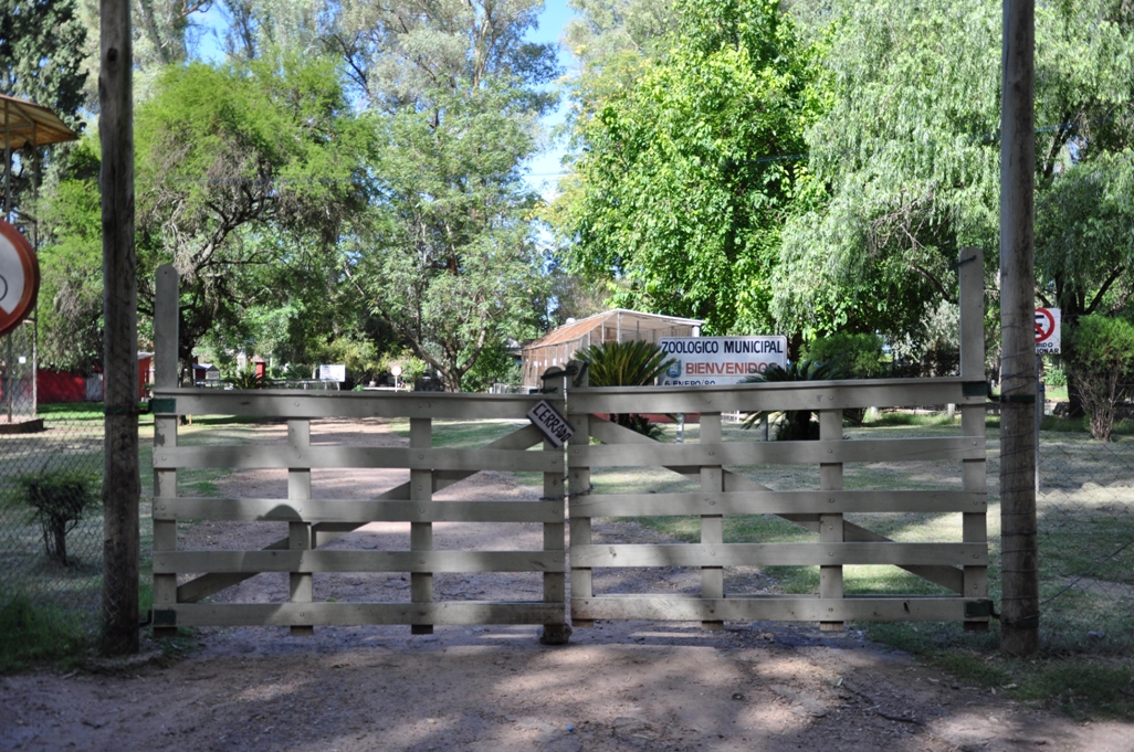 El eterno femenino de una imaginativa pintora