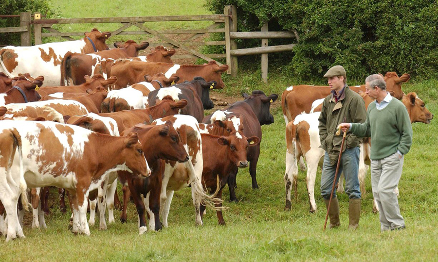 El eterno femenino de una imaginativa pintora