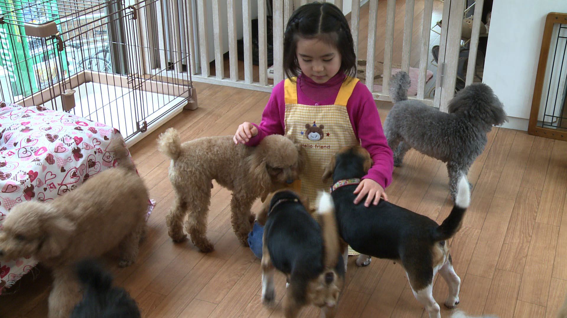 El eterno femenino de una imaginativa pintora