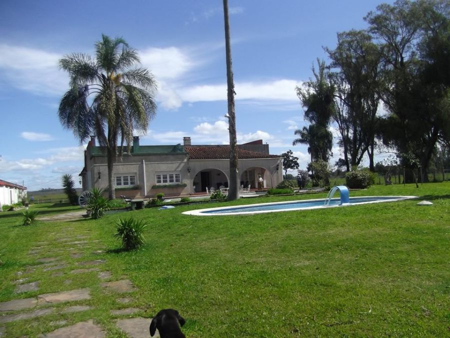 El eterno femenino de una imaginativa pintora