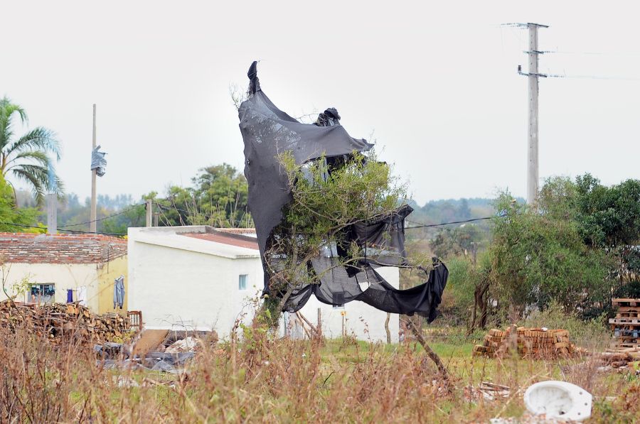 Dolores, tres semanas después del tornado. Foto: Fernando Ponzetto.