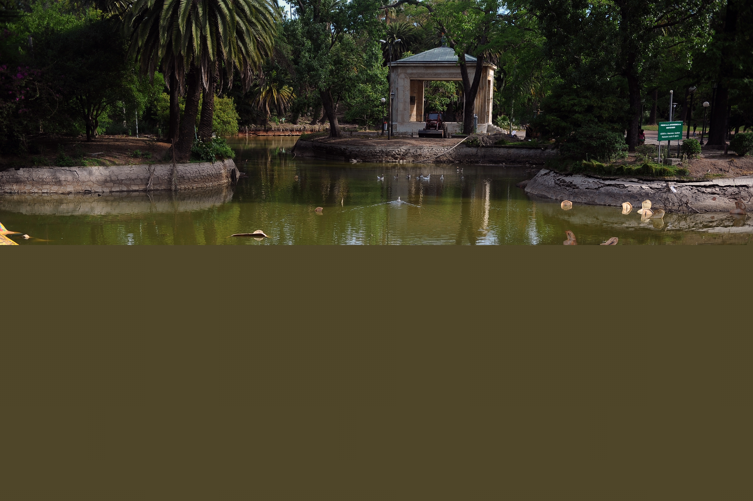 Así avanzan las tareas de vaciado del lago del Parque Rodó. Foto: Fernando Ponzetto