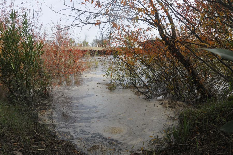El eterno femenino de una imaginativa pintora