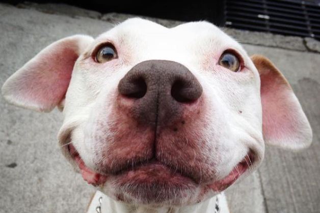 El eterno femenino de una imaginativa pintora