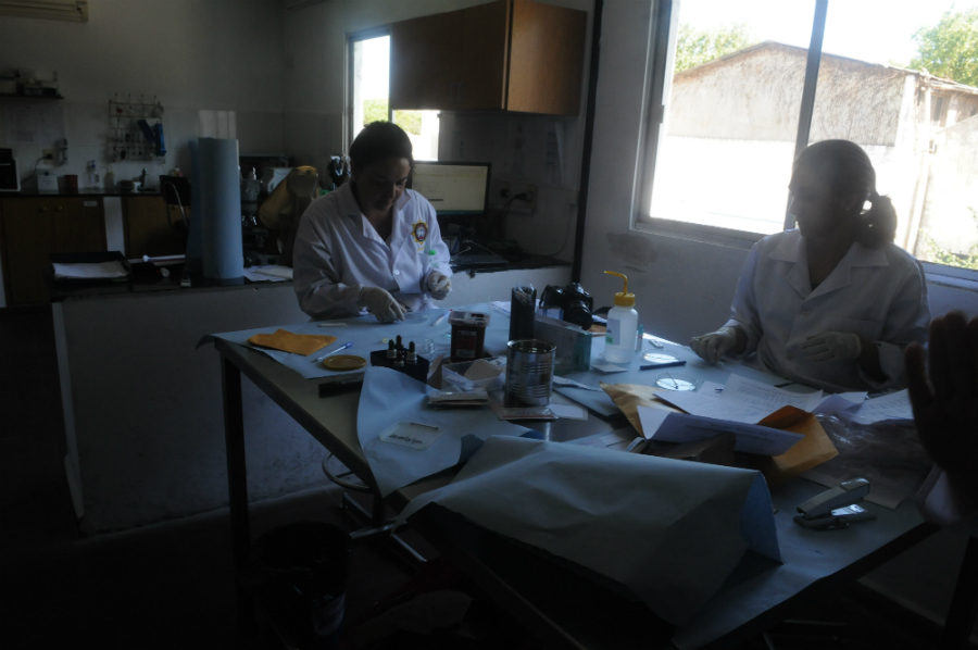 Policía Científica engloba diferentes secciones que conforman un único equipo. Foto: Francisco Flores