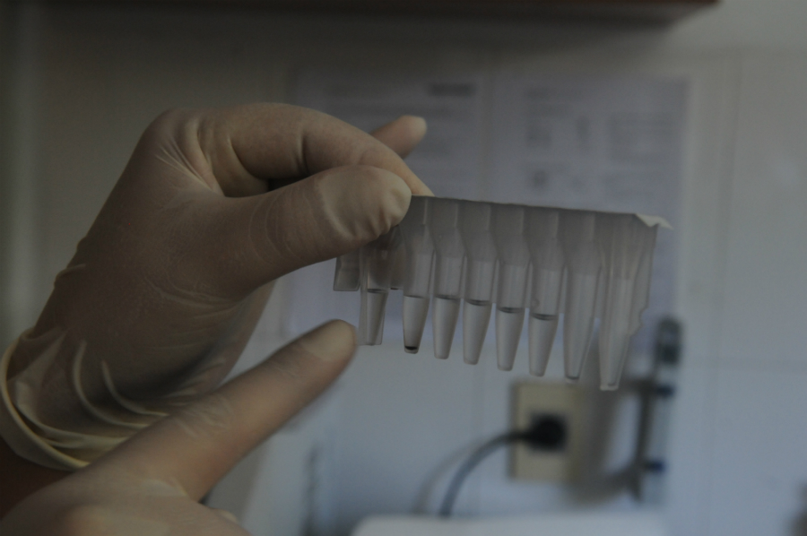 Policía Científica engloba diferentes secciones que conforman un único equipo. Foto: Francisco Flores