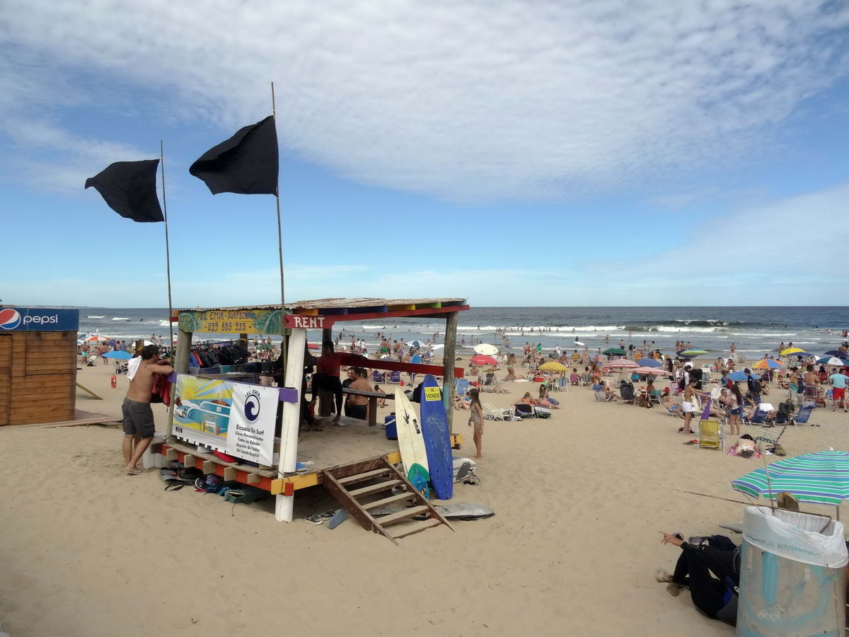 El Emir. Foto: Ricardo Figueredo