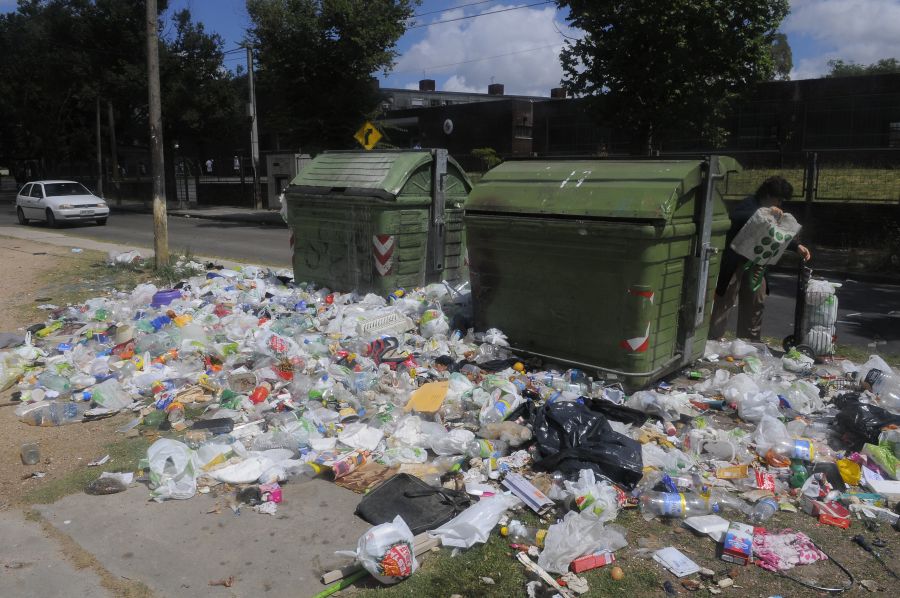 Todavía quedan 3.000 contenedores sin recoger. Foto: A. Colmegna