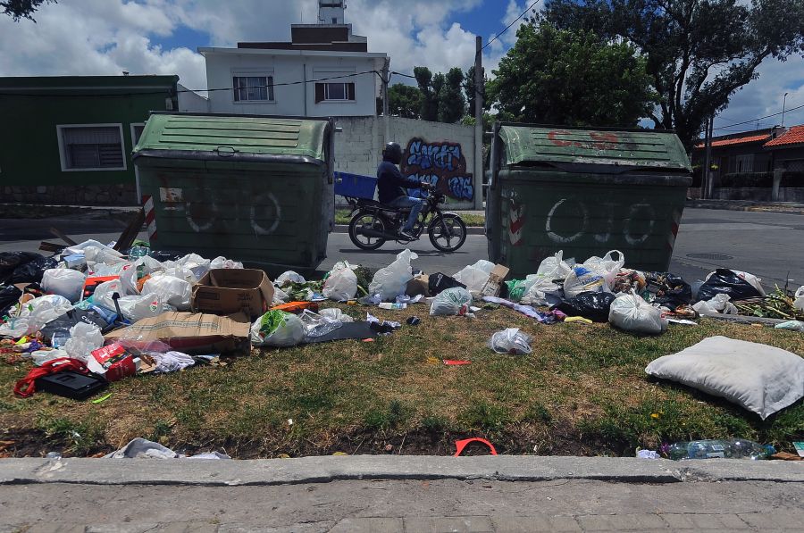 Todavía quedan 3.000 contenedores sin recoger. Foto: F. Ponzetto
