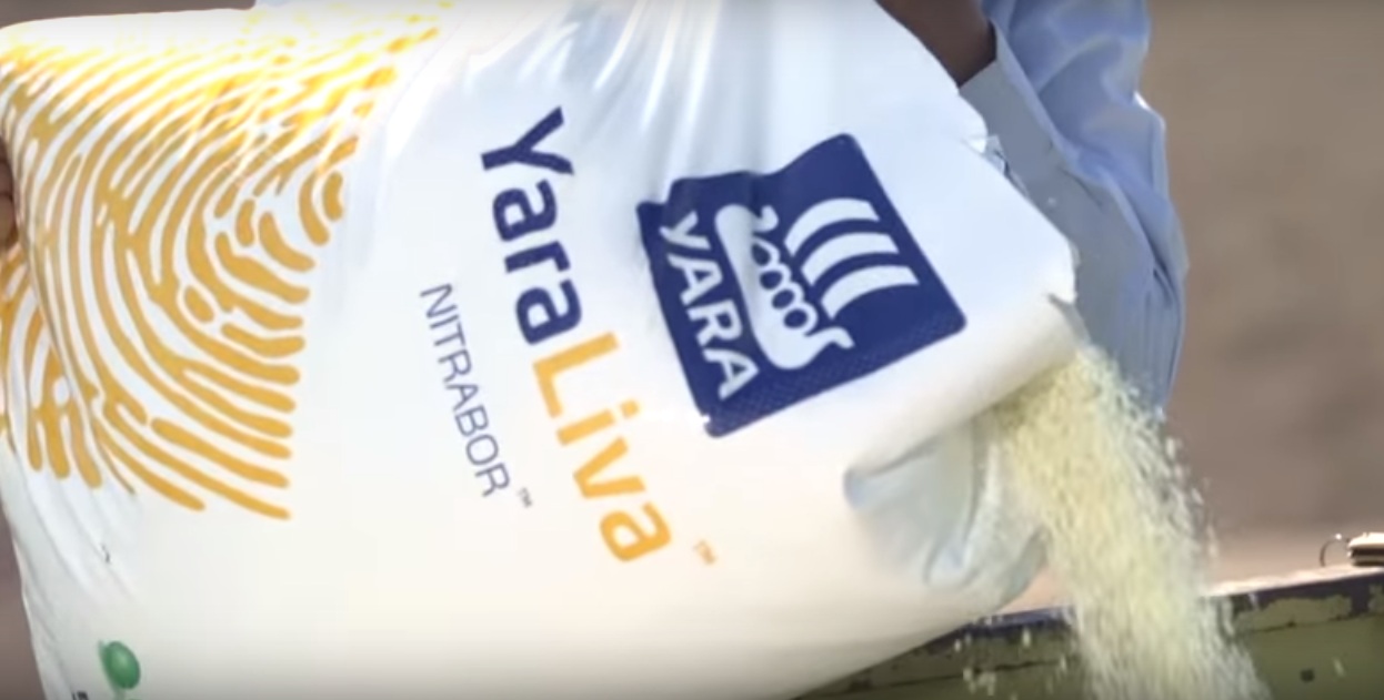 El eterno femenino de una imaginativa pintora