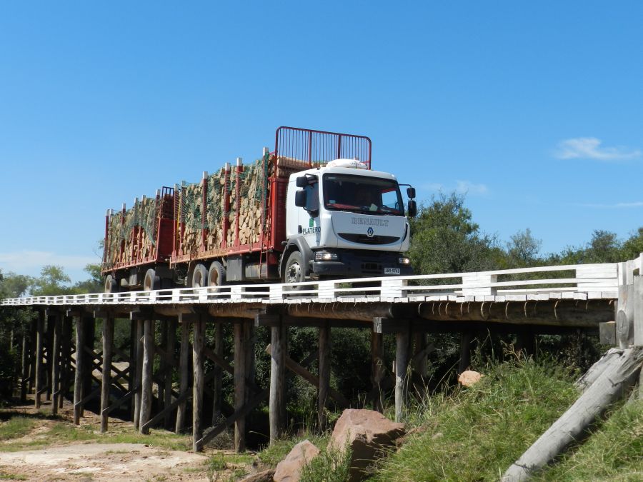 El eterno femenino de una imaginativa pintora