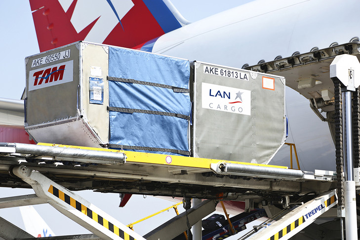 El eterno femenino de una imaginativa pintora