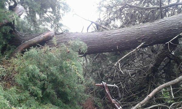 Temporal en Durazno. Foto: Jesús Fredesz /  Alternativa Durazno