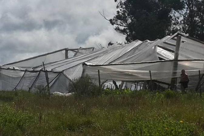 Turbonada en Durazno destrozó una cabaña. Foto: F. Agesta / Alternativa Durazno
