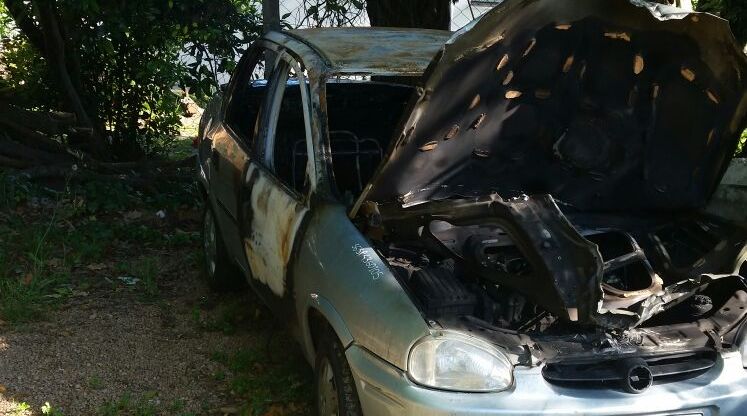 El eterno femenino de una imaginativa pintora